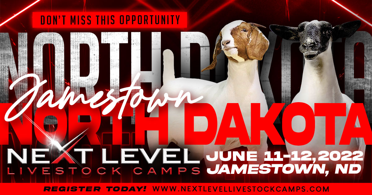 Next Level Livestock Camps announces Jamestown, ND Sheep Camp