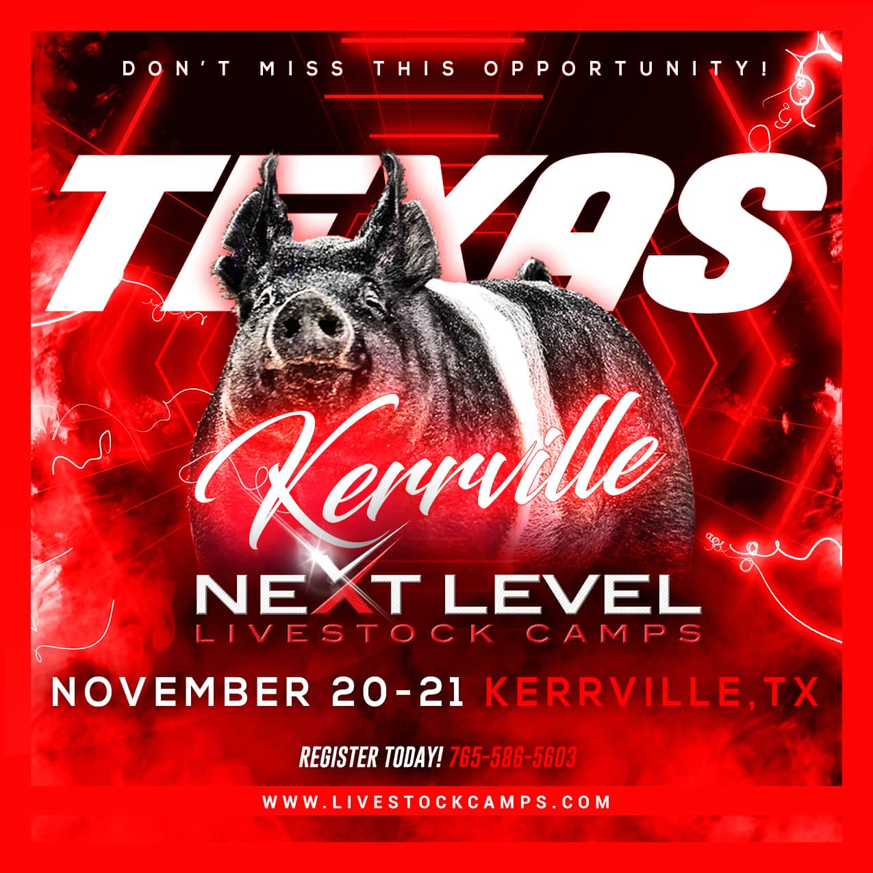 Next Level Livestock Camps coming to Kerrville, Texas November 20-21
