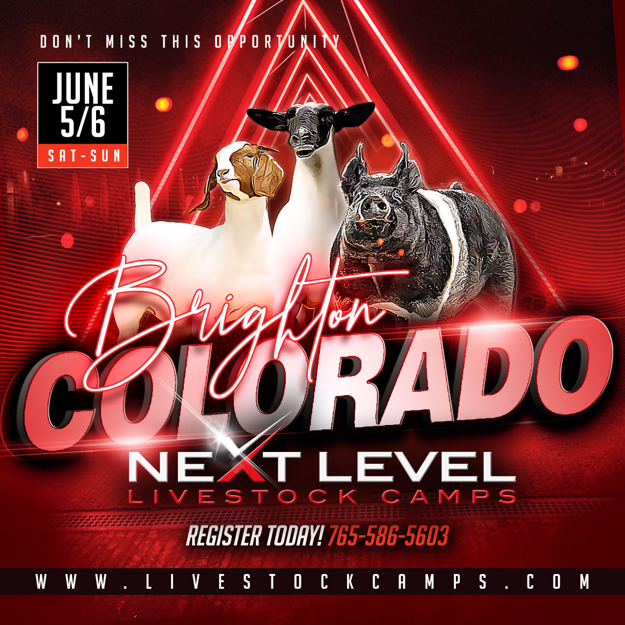 Next Level Livestock is bringing three livestock camps to Brighton, Colorado