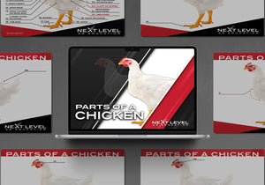 Chicken Anatomy PowerPoint/Keynote Digital Download