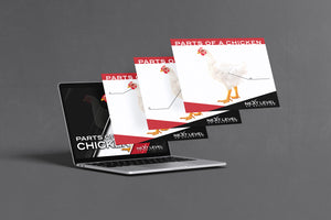 Chicken Anatomy PowerPoint/Keynote Digital Download