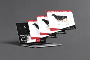 Dairy Cow Anatomy PowerPoint/Keynote Digital Download