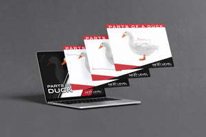 Duck Anatomy PowerPoint/Keynote Digital Download