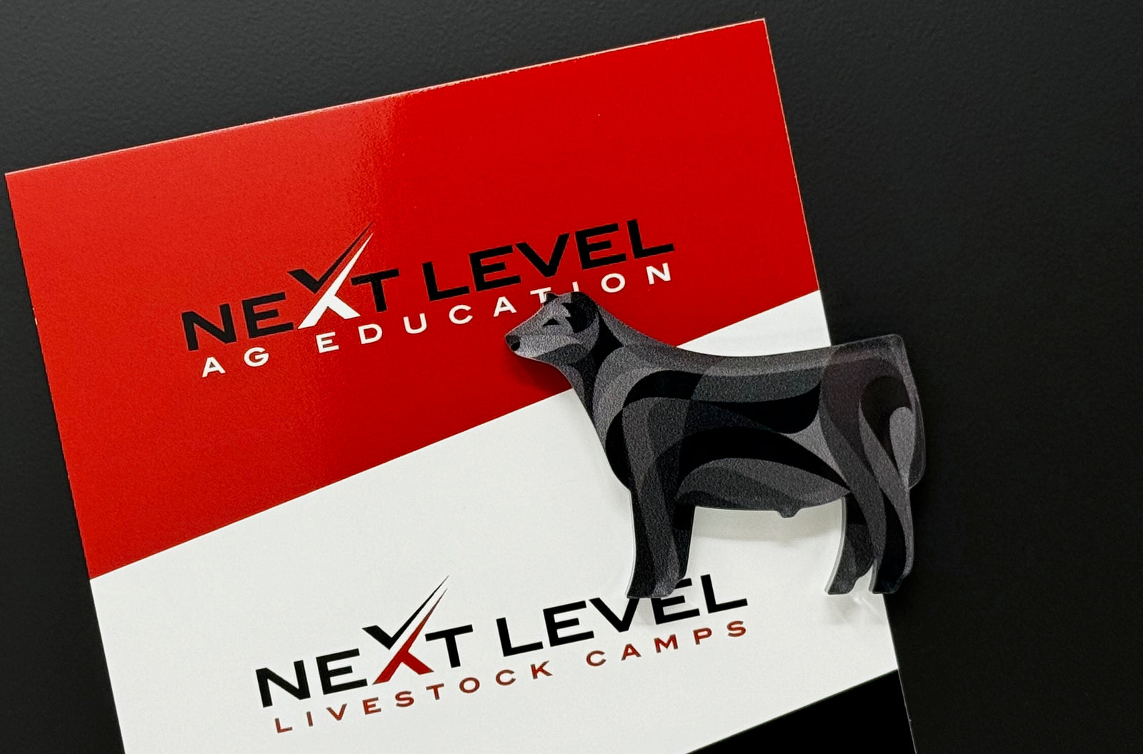 ANGUS OR MAINE MAGNET