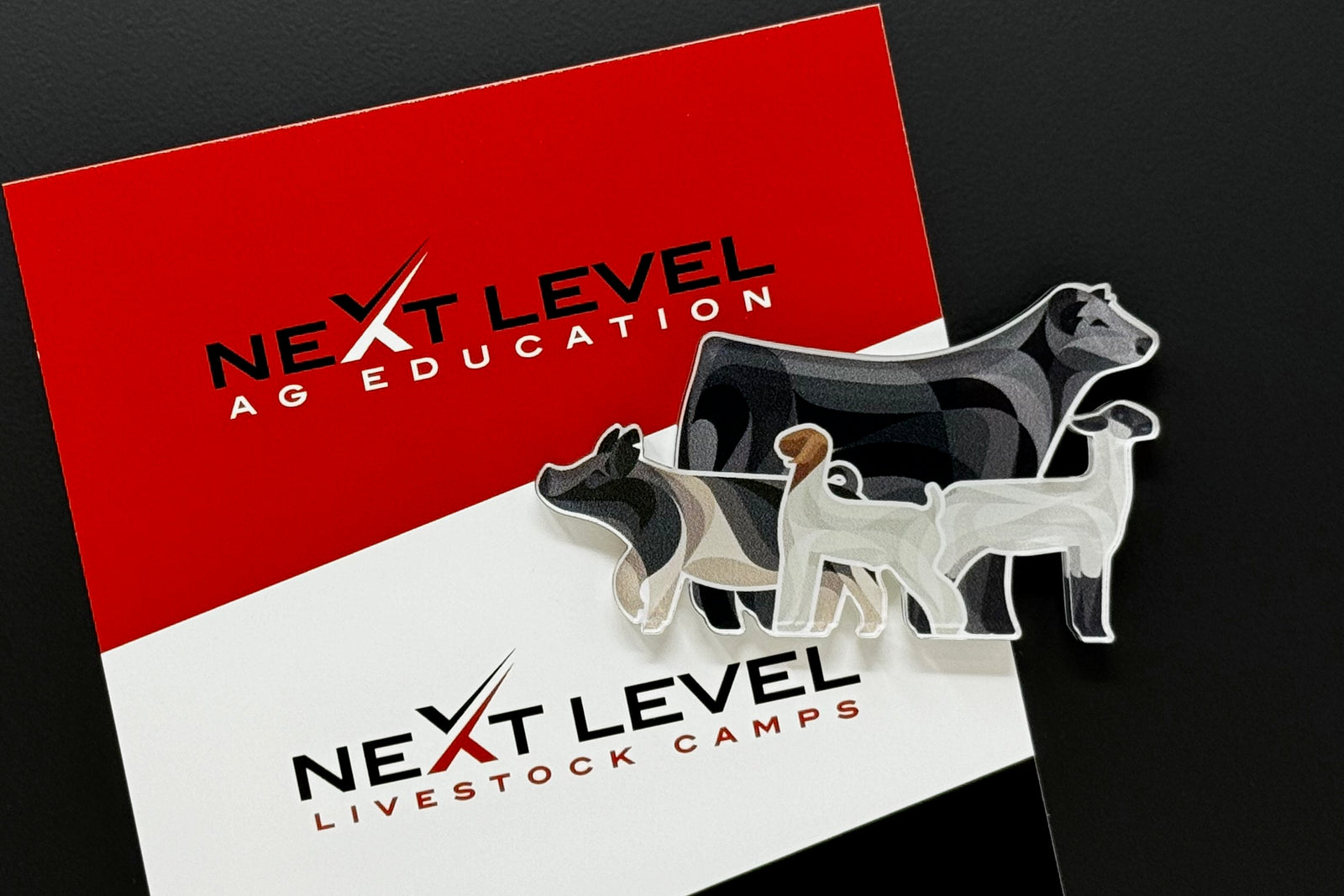 "THE BIG FOUR" - STEER, SHEEP, LAMB, & GOAT MAGNET