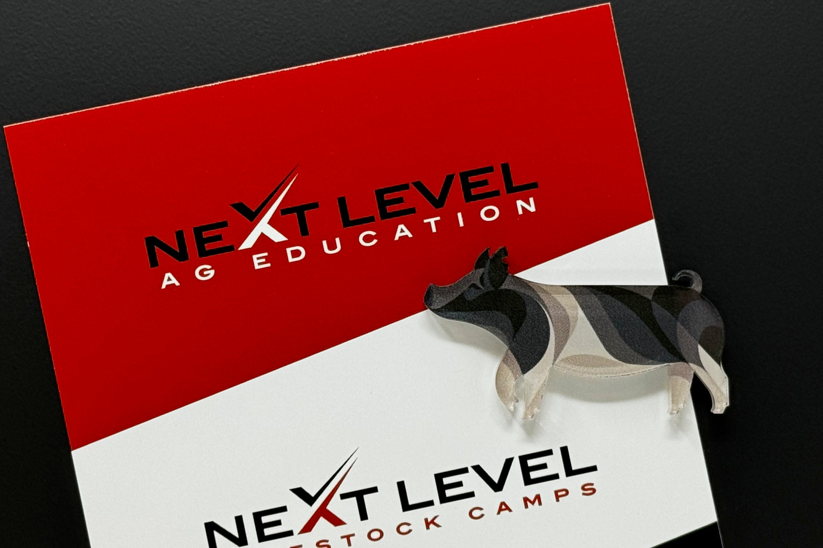 CROSS / HAMPSHIRE MAGNET