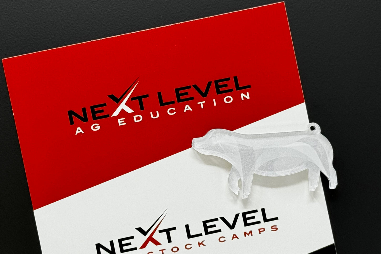 CHESTER WHITE MAGNET