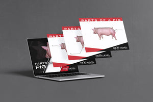 Pig Anatomy PowerPoint/Keynote Digital Download