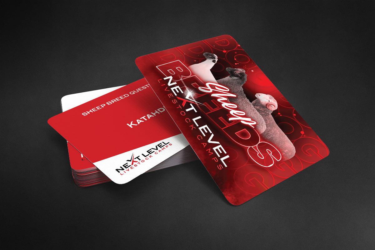 Sheep Breed Identification Flashcards