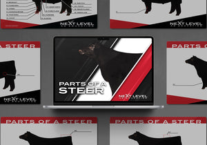 Cattle/Steer Anatomy PowerPoint/Keynote Digital Download