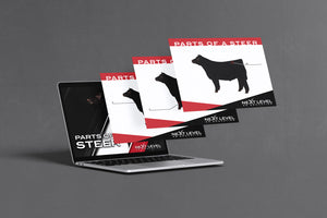 Cattle/Steer Anatomy PowerPoint/Keynote Digital Download