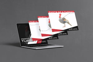 Turkey Anatomy PowerPoint/Keynote Digital Download