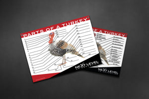 Interactive Turkey Anatomy Teaching Chart - 40” x 30”