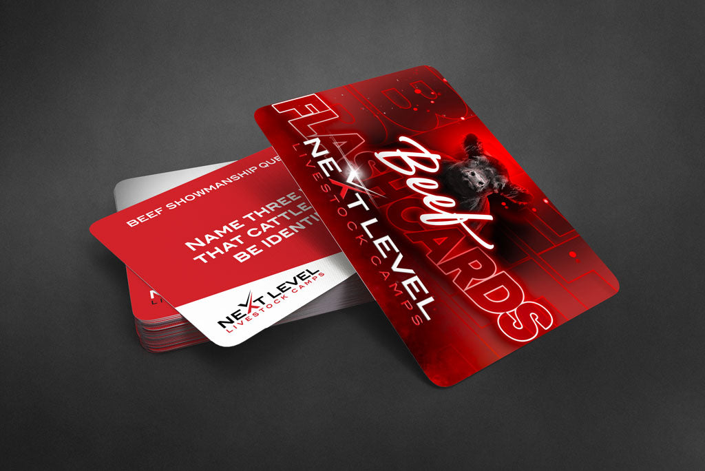 BEEF CATTLE SHOWMANSHIP FLASHCARDS