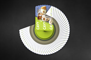 3 Deck Multi-Level Cavy Flashcard Bundle