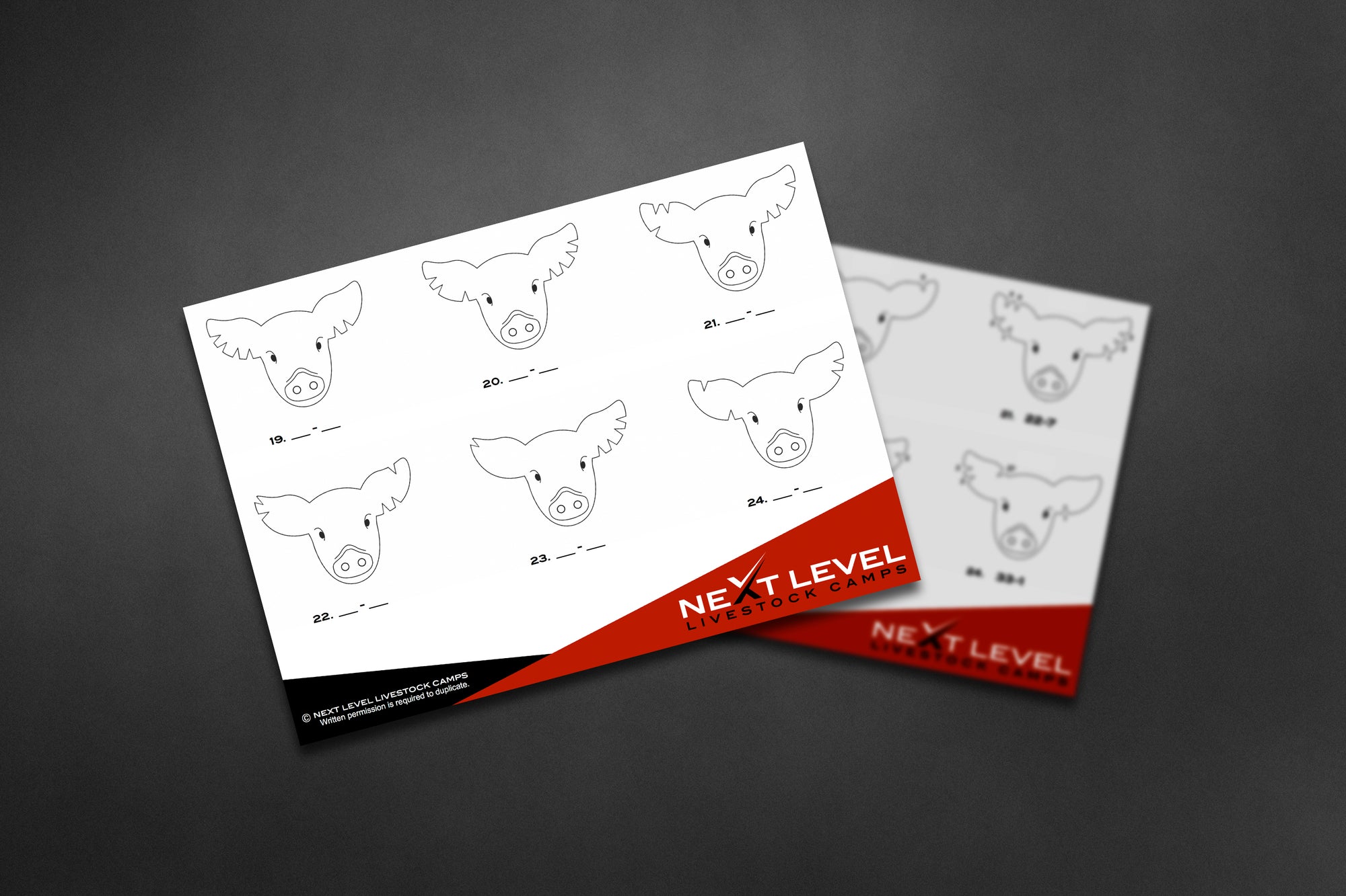 All 3 Levels - Pig Ear Notch Worksheets - Instant PDF download