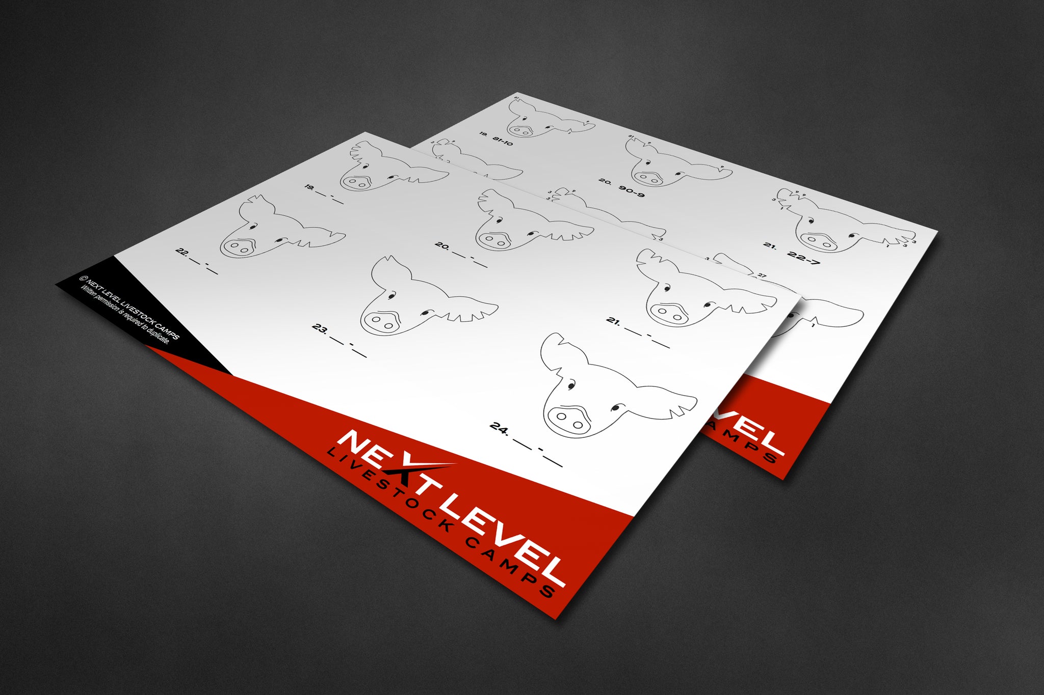 Ear Notch Template.pdf All 3 Levels - Swine Ear Notching Worksheets - Instant PDF Download ...