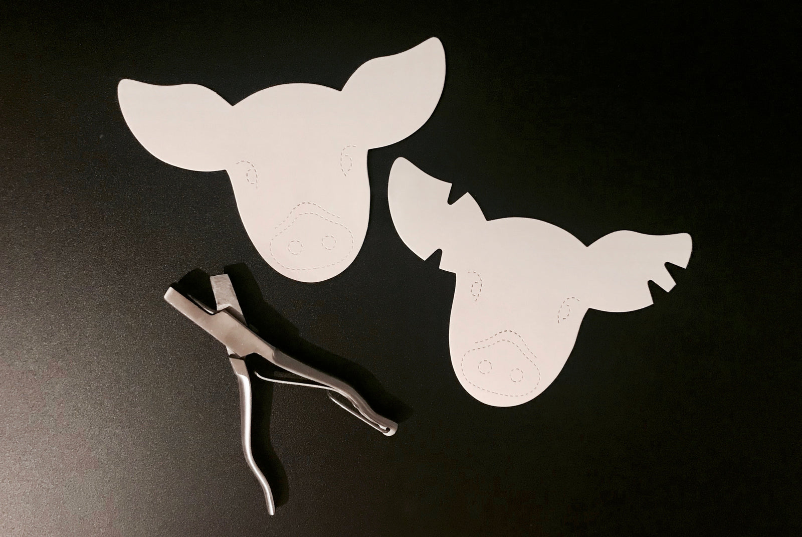 SWINE EAR NOTCH TEACHING KIT - PACK OF 100