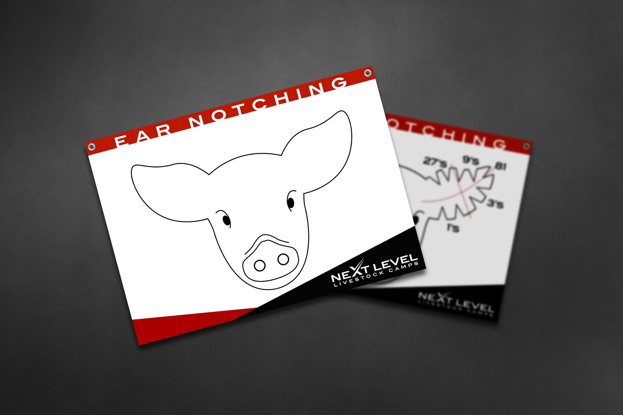 Ear Notch Template.pdf Interactive Ear Notching Teaching Chart - 40” x 30” - Next Level ...